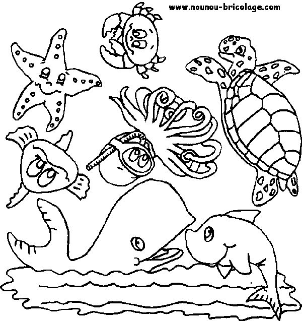 Coloriages Animaux marins Animaux Dessins à colorier Coloriages à