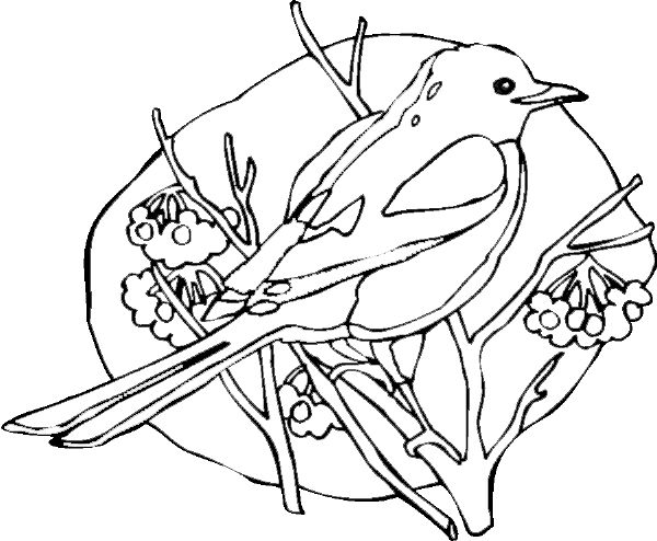 Dessin à colorier: Oiseaux (Animaux) #11888 - Coloriages à Imprimer Gratuits