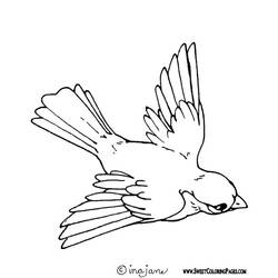 Dessin à colorier: Oiseaux (Animaux) #11874 - Coloriages à Imprimer Gratuits