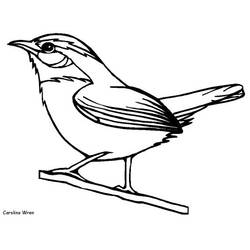 Dessin à colorier: Oiseaux (Animaux) #11882 - Coloriages à Imprimer Gratuits