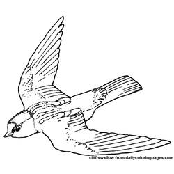 Dessin à colorier: Oiseaux (Animaux) #12029 - Coloriages à Imprimer Gratuits