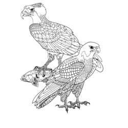 Dessin à colorier: Oiseaux (Animaux) #12053 - Coloriages à Imprimer Gratuits