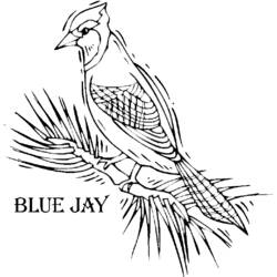 Dessin à colorier: Oiseaux (Animaux) #12062 - Coloriages à Imprimer Gratuits