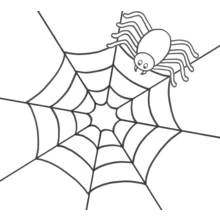 Spinne - Kostenlose Ausmalbilder zum Ausdrucken