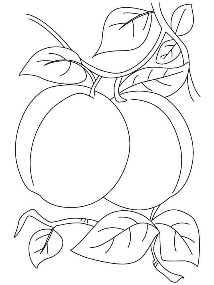 Dessin à colorier: Abricot (Alimentation et Nutrition) #184246 - Coloriages à Imprimer Gratuits