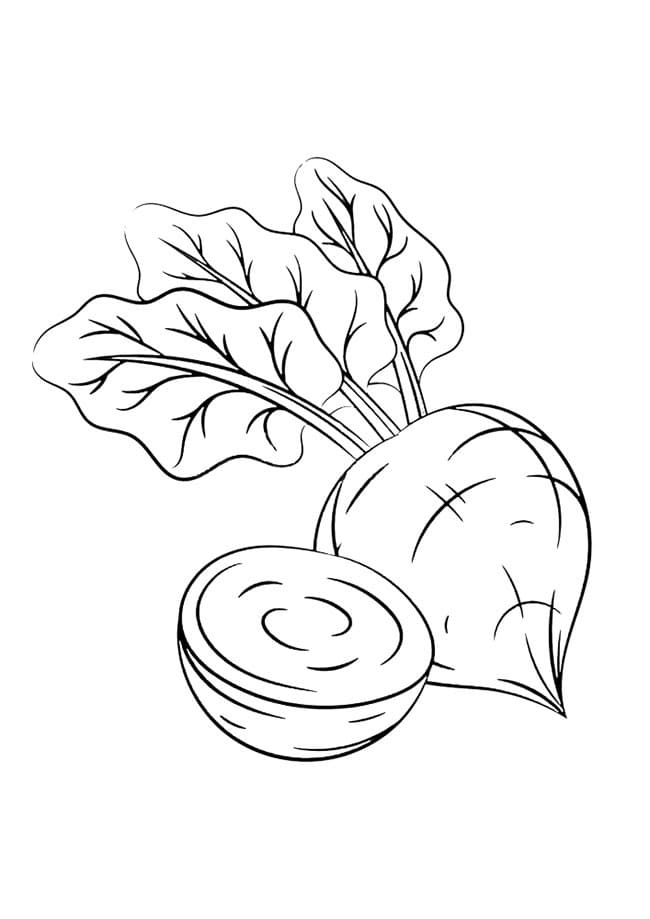 Coloriage gratuit Betterave #213800 de la collection Alimentation et Nutrition à imprimer
