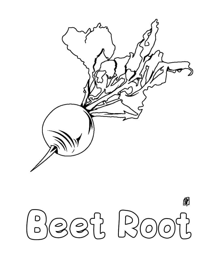 Coloriage gratuit Betterave #213809 de la collection Alimentation et Nutrition à imprimer Coloriage gratuit Betterave #213809 de la collection Alimentation et Nutrition à imprimer