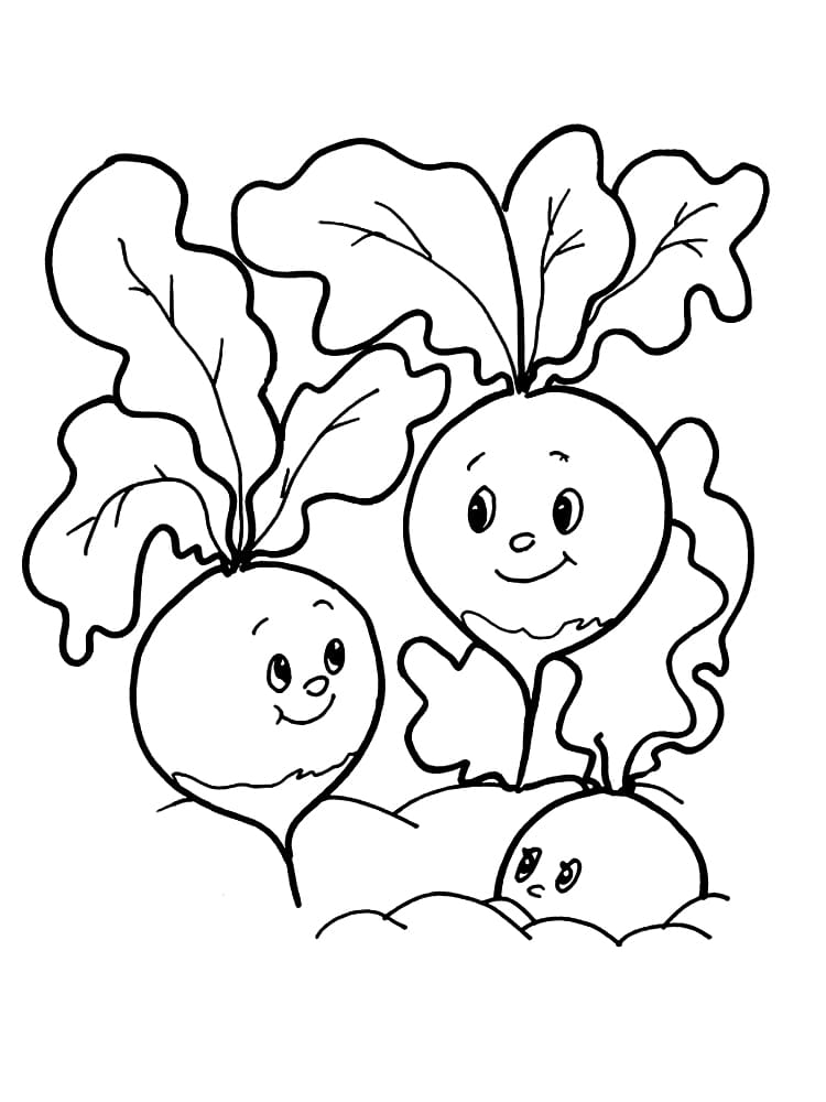 Coloriage gratuit Radis #220973 de la collection Alimentation et Nutrition à imprimer