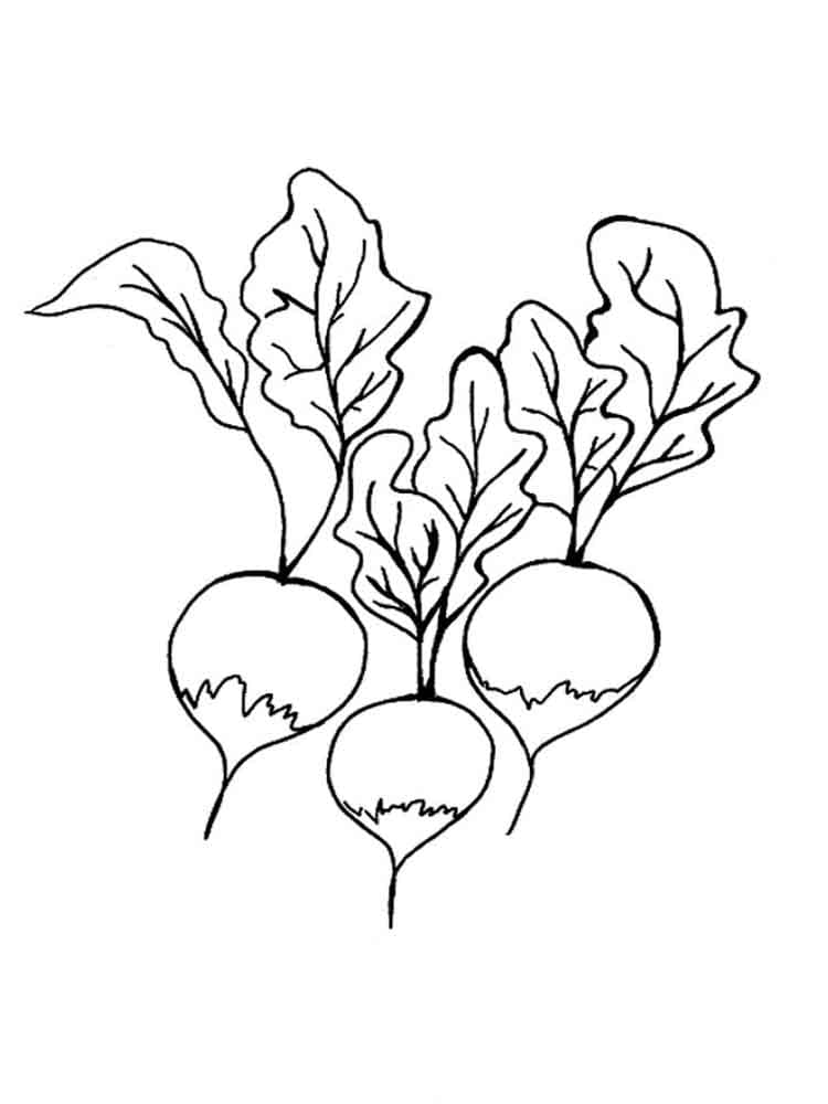 Coloriage gratuit Radis #220985 de la collection Alimentation et Nutrition à imprimer Coloriage gratuit Radis #220985 de la collection Alimentation et Nutrition à imprimer