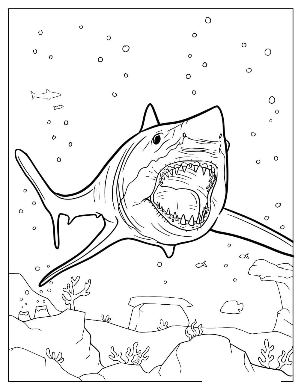 Coloriage gratuit Mégalodon #220697 de la collection Animaux préhistoriques à imprimer