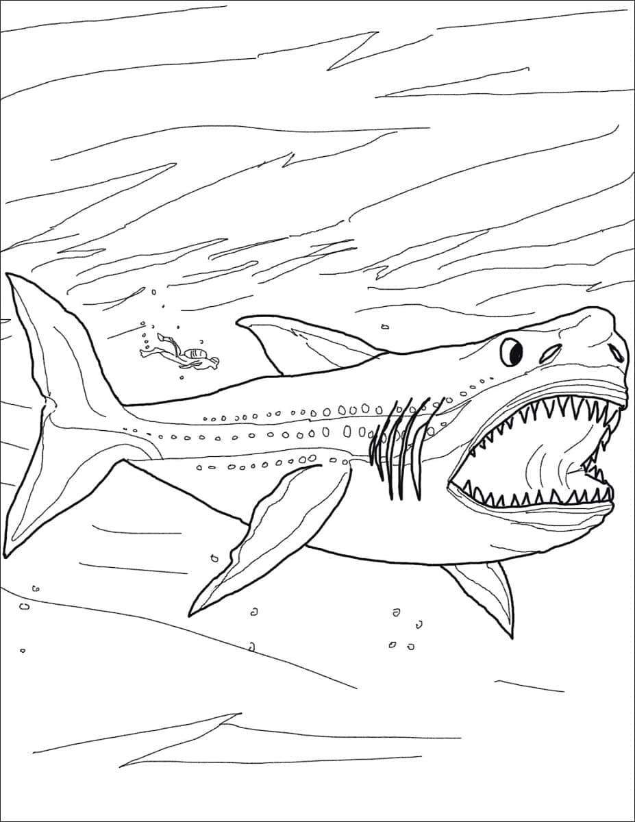 Coloriage gratuit Mégalodon #220709 de la collection Animaux préhistoriques à imprimer
