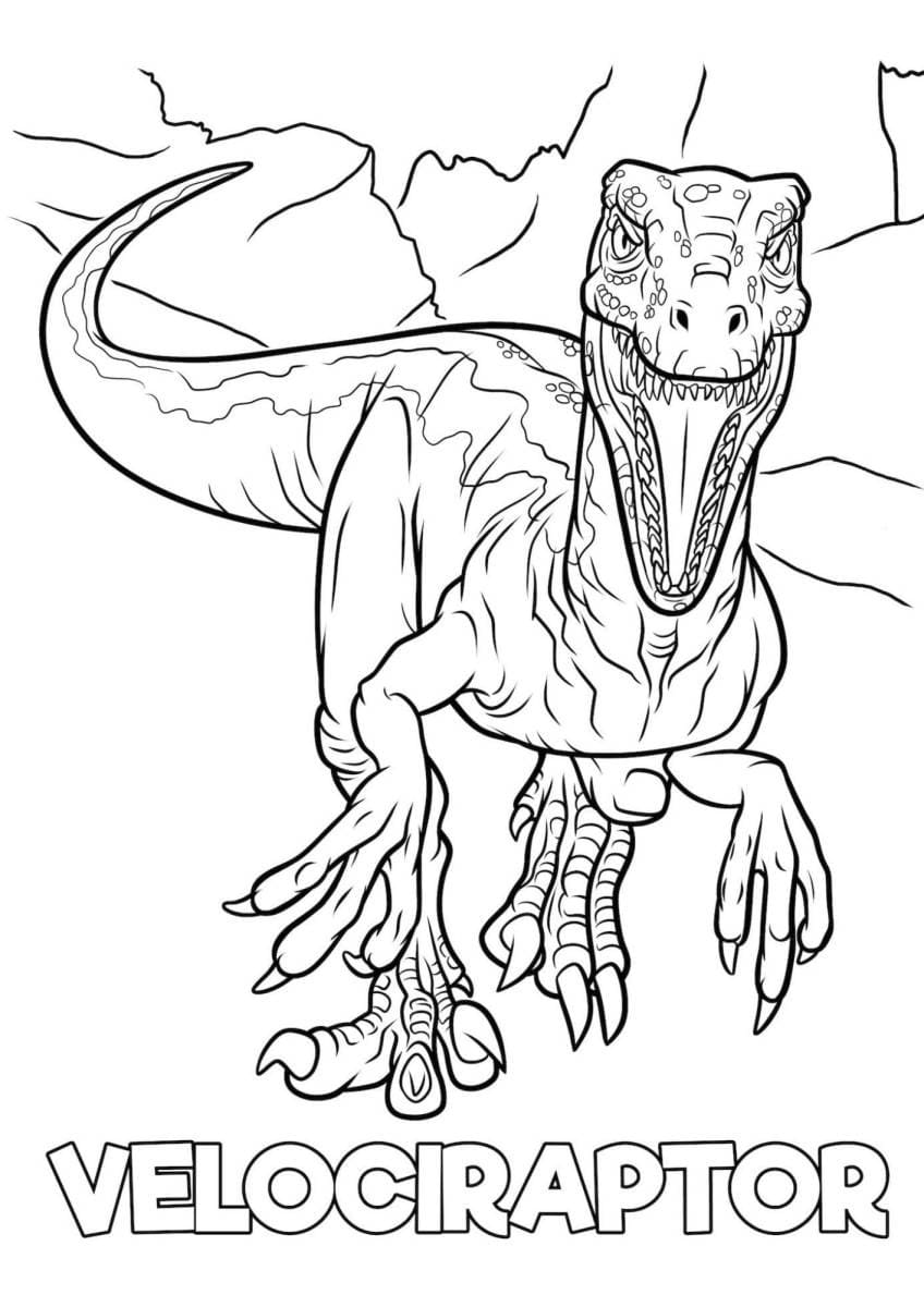 Dessin à colorier: Vélociraptor (Animaux préhistoriques) #214492 - Coloriages à Imprimer Gratuits