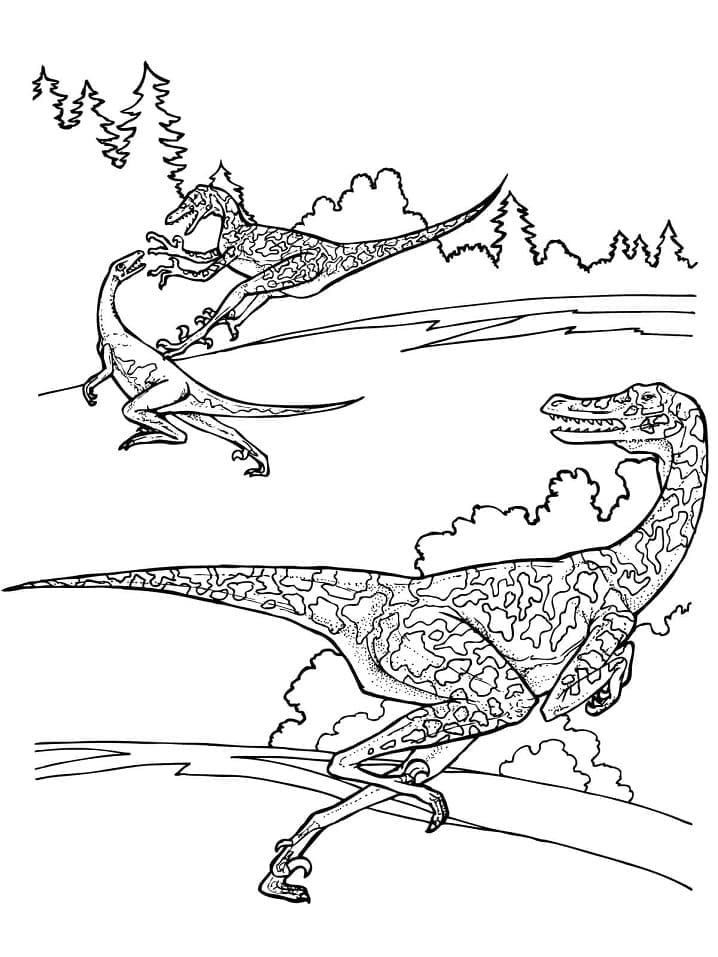 Dessin à colorier: Vélociraptor (Animaux préhistoriques) #214496 - Coloriages à Imprimer Gratuits