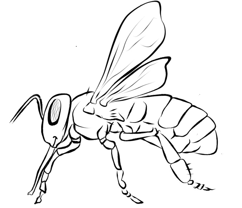 Dessin à colorier: Abeille (Animaux) #125 - Coloriages à Imprimer Gratuits