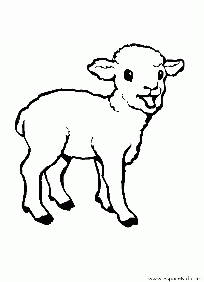 Dessin à colorier: Agneau (Animaux) #175 - Coloriages à Imprimer Gratuits