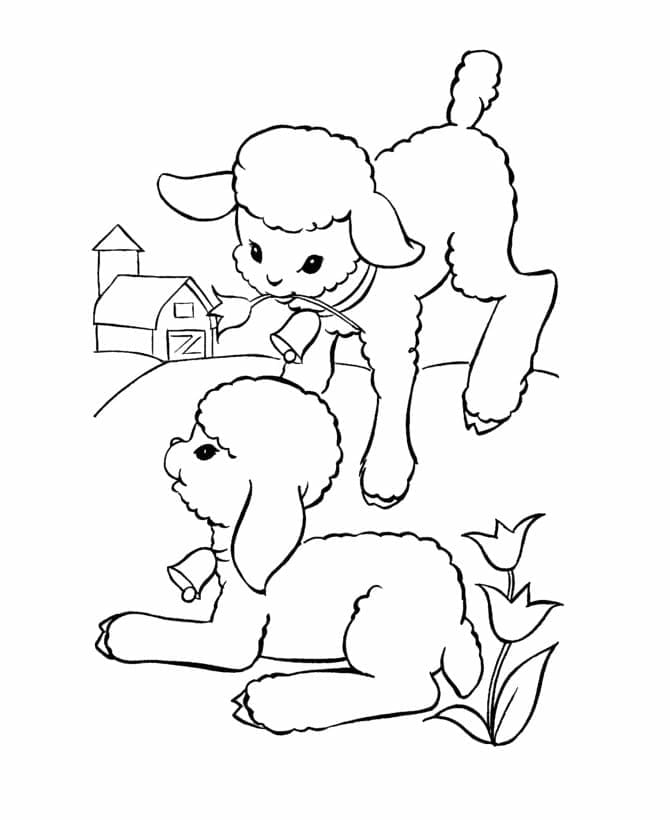 Coloriage gratuit Agneau #184277 de la collection Animaux à imprimer