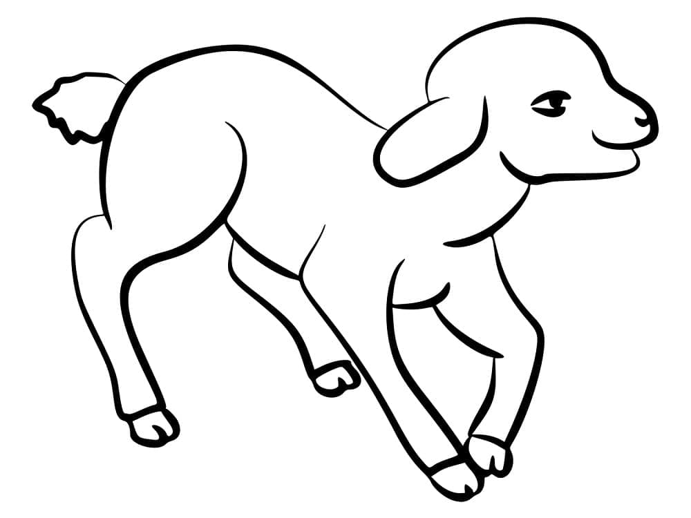 Coloriage gratuit Agneau #184286 de la collection Animaux à imprimer