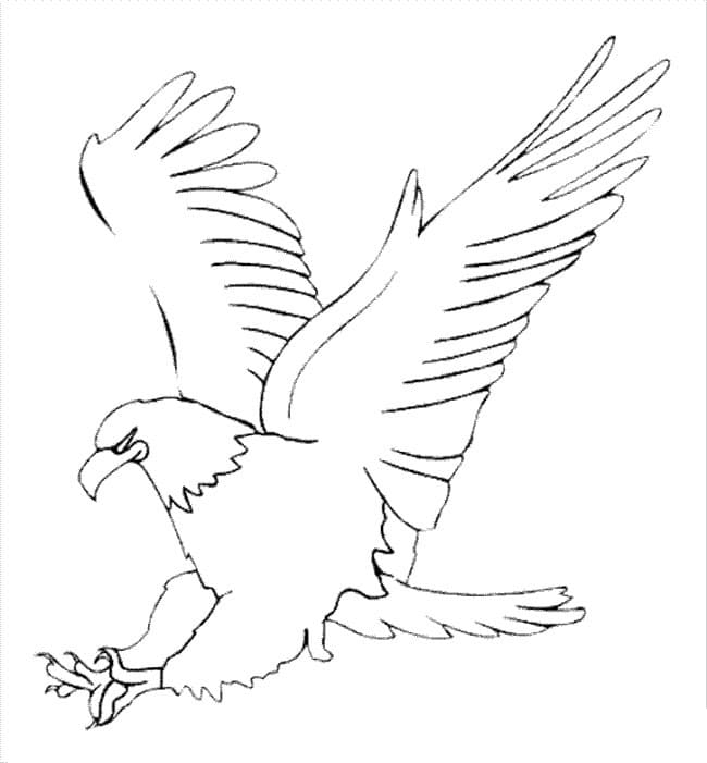 Coloriage gratuit Aigle #185157 de la collection Animaux à imprimer