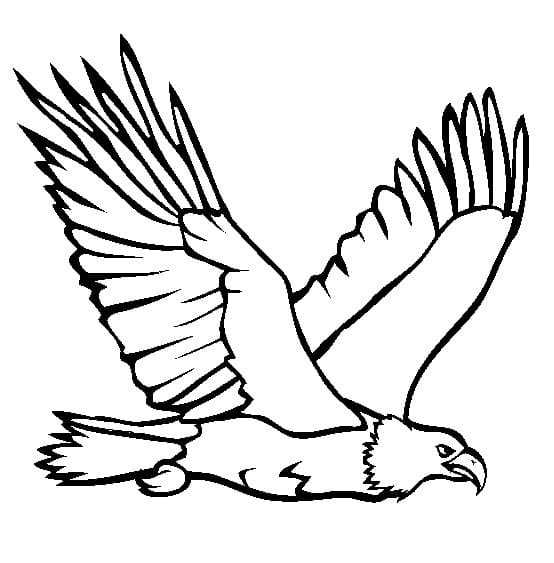 Coloriage gratuit Aigle #185165 de la collection Animaux à imprimer