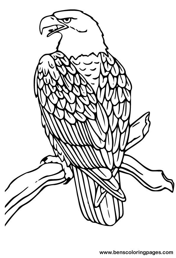 Dessin à colorier: Aigle (Animaux) #279 - Coloriages à imprimer