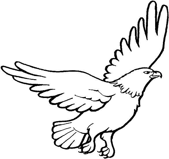 Dessin à colorier: Aigle (Animaux) #284 - Coloriages à Imprimer Gratuits