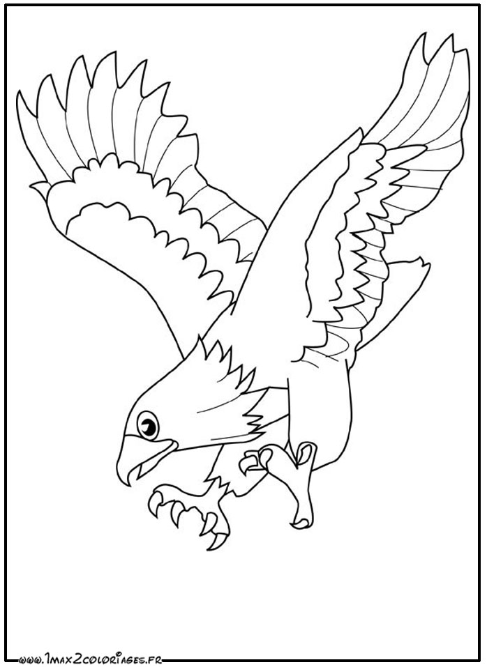 Dessin à colorier: Aigle (Animaux) #290 - Coloriages à Imprimer Gratuits