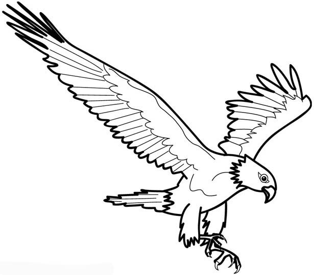Dessin à colorier: Aigle (Animaux) #294 - Coloriages à imprimer
