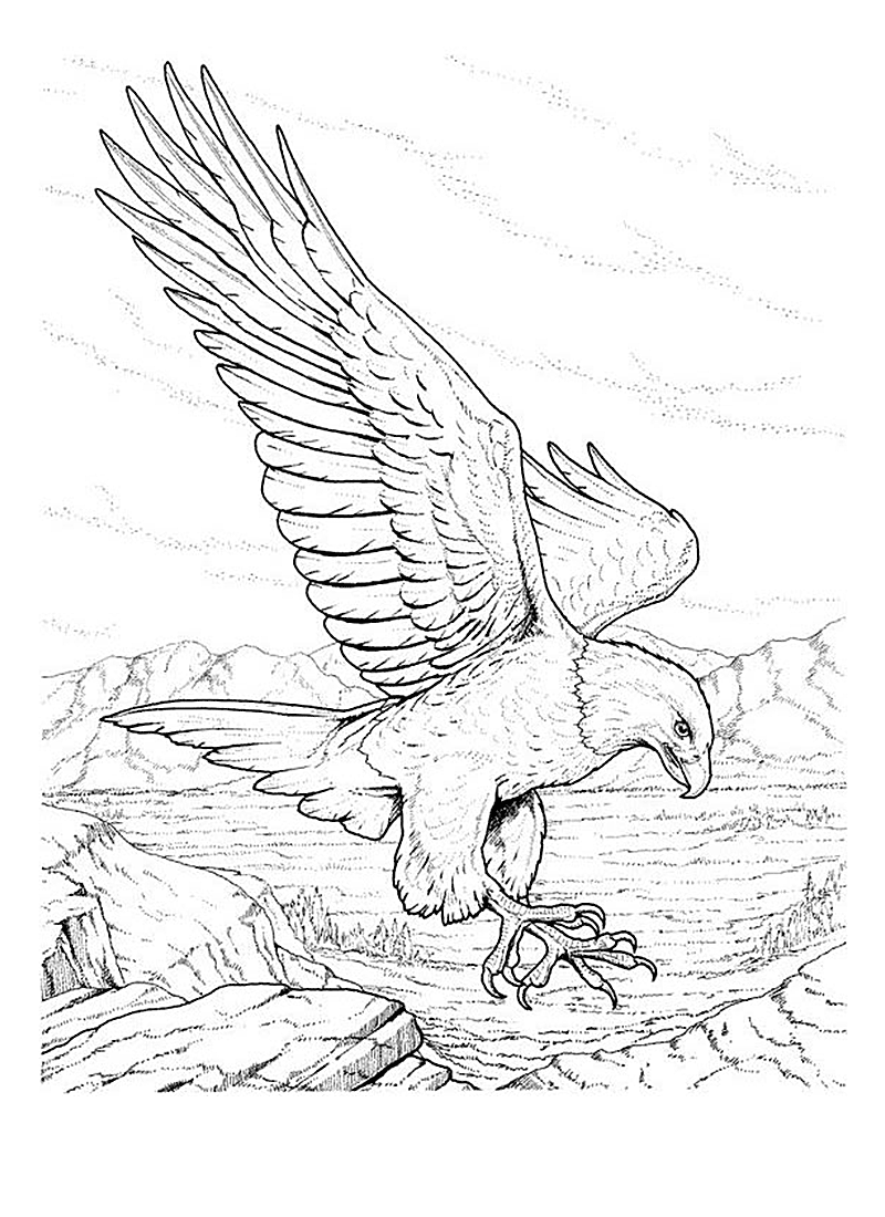 Dessin à colorier: Aigle (Animaux) #296 - Coloriages à imprimer