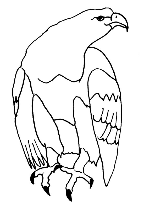 Dessin à colorier: Aigle (Animaux) #316 - Coloriages à imprimer