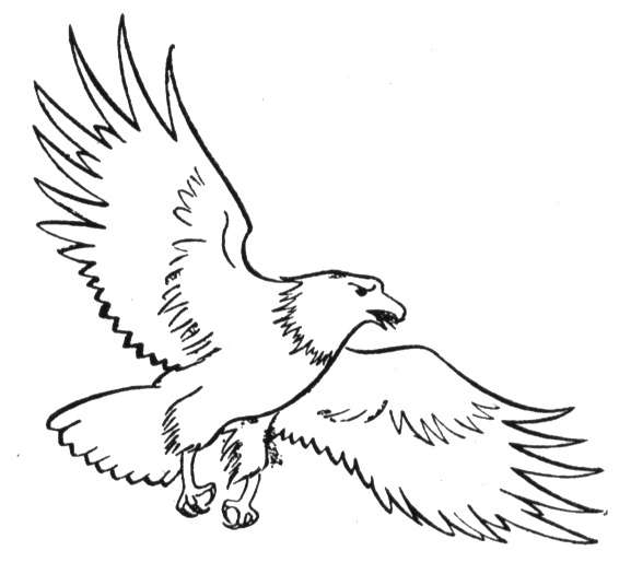 Dessin à colorier: Aigle (Animaux) #318 - Coloriages à imprimer