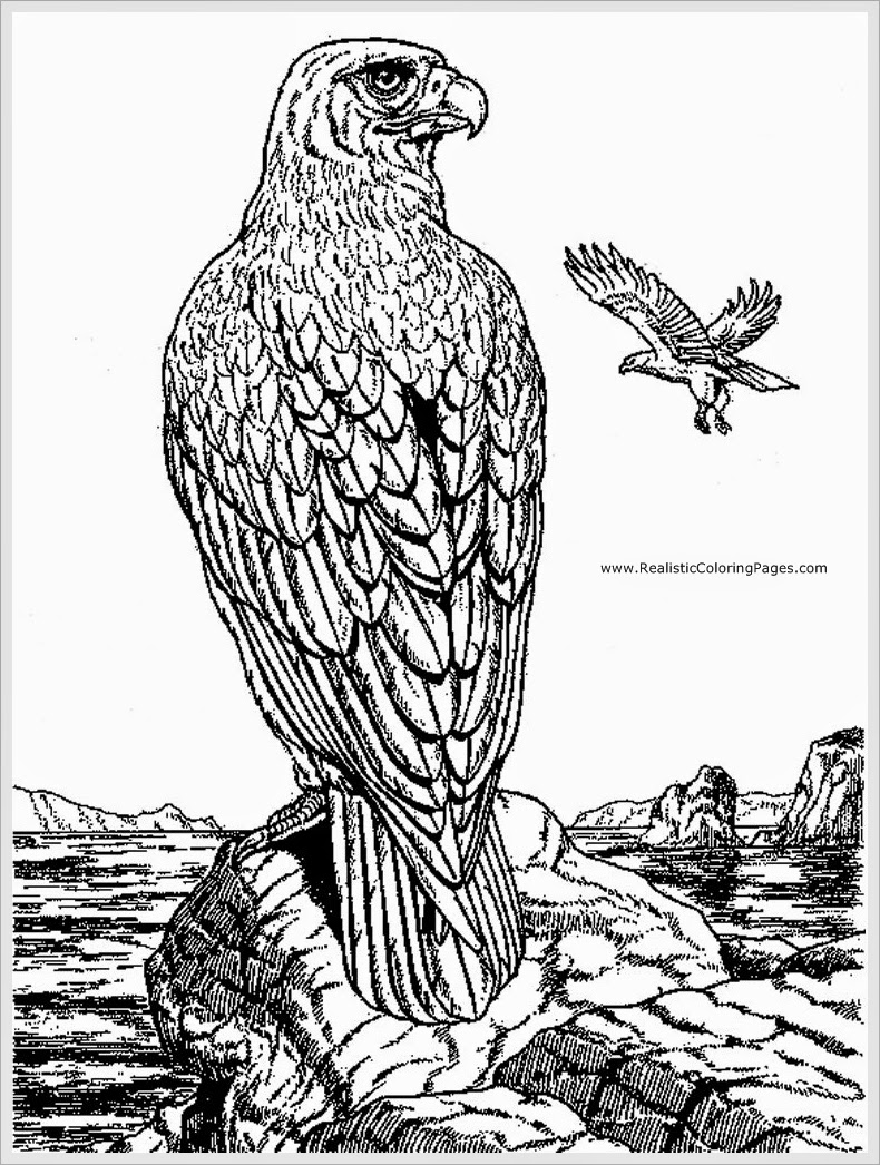 Dessin à colorier: Aigle (Animaux) #324 - Coloriages à imprimer