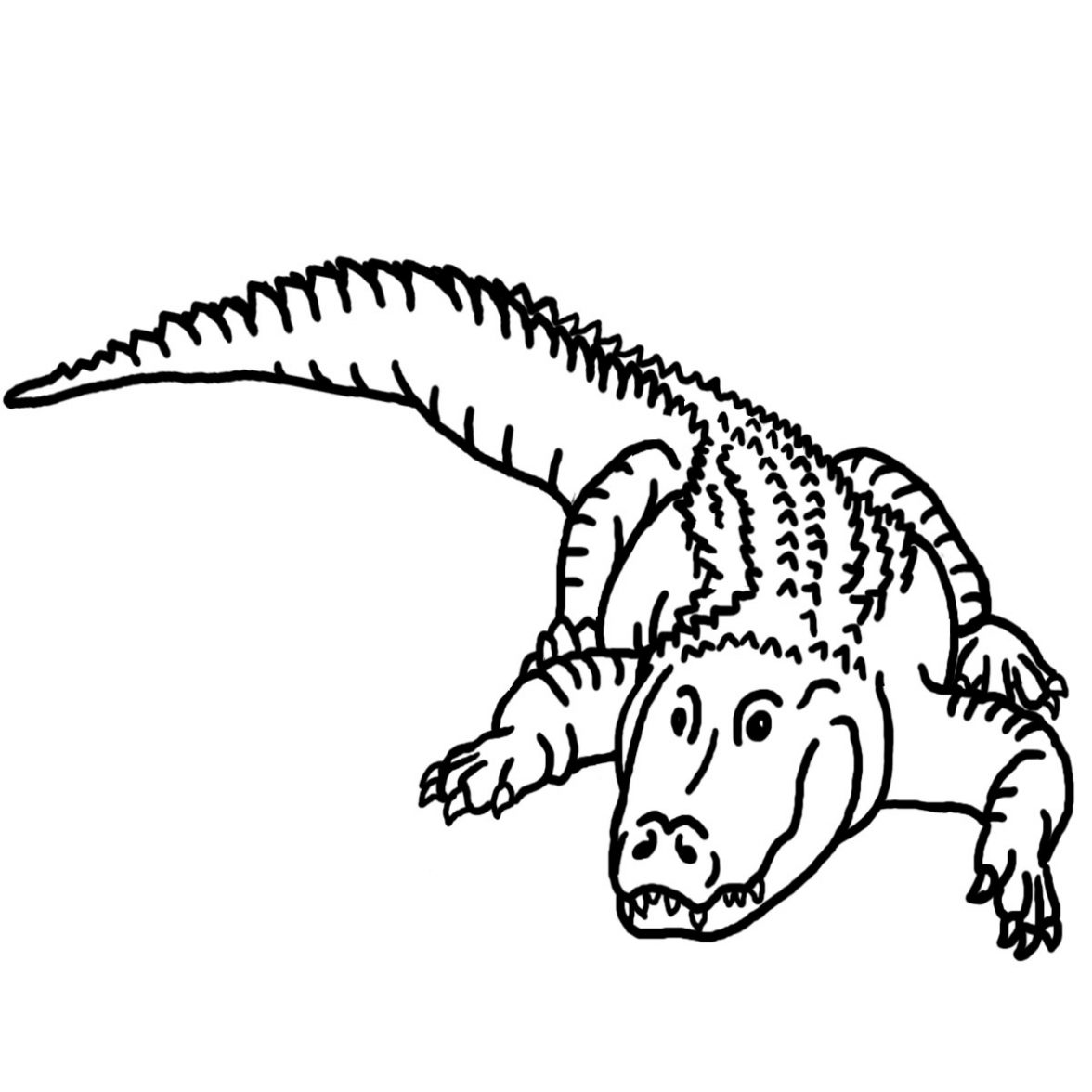 Dessin à colorier: Alligator (Animaux) #380 - Coloriages à imprimer