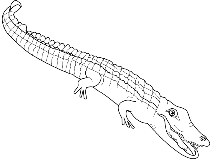 Dessin à colorier: Alligator (Animaux) #384 - Coloriages à imprimer