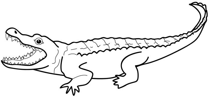 Dessin à colorier: Alligator (Animaux) #397 - Coloriages à imprimer