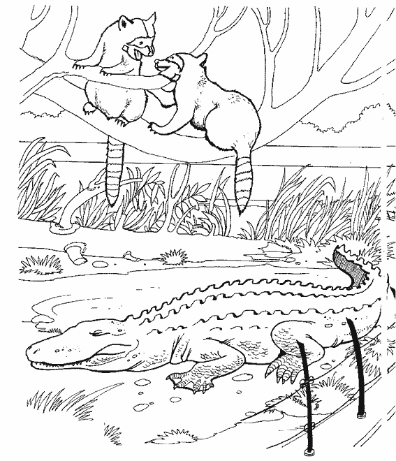 Dessin à colorier: Alligator (Animaux) #421 - Coloriages à imprimer