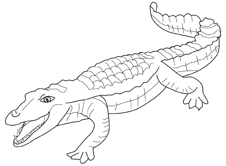 Dessin à colorier: Alligator (Animaux) #429 - Coloriages à imprimer