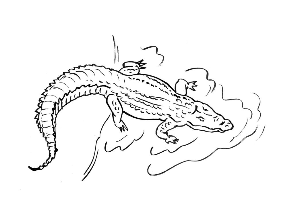 Dessin à colorier: Alligator (Animaux) #431 - Coloriages à imprimer