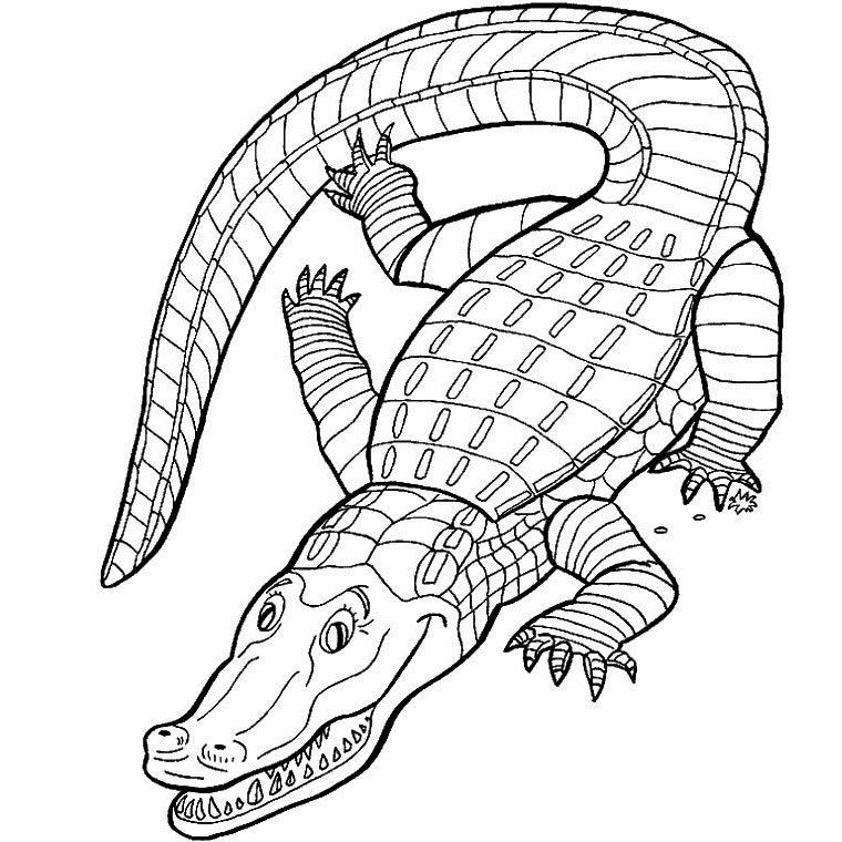 Dessin à colorier: Alligator (Animaux) #434 - Coloriages à imprimer