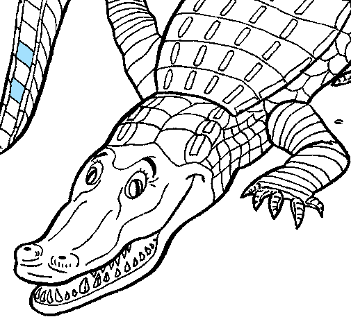 Dessin à colorier: Alligator (Animaux) #474 - Coloriages à Imprimer Gratuits