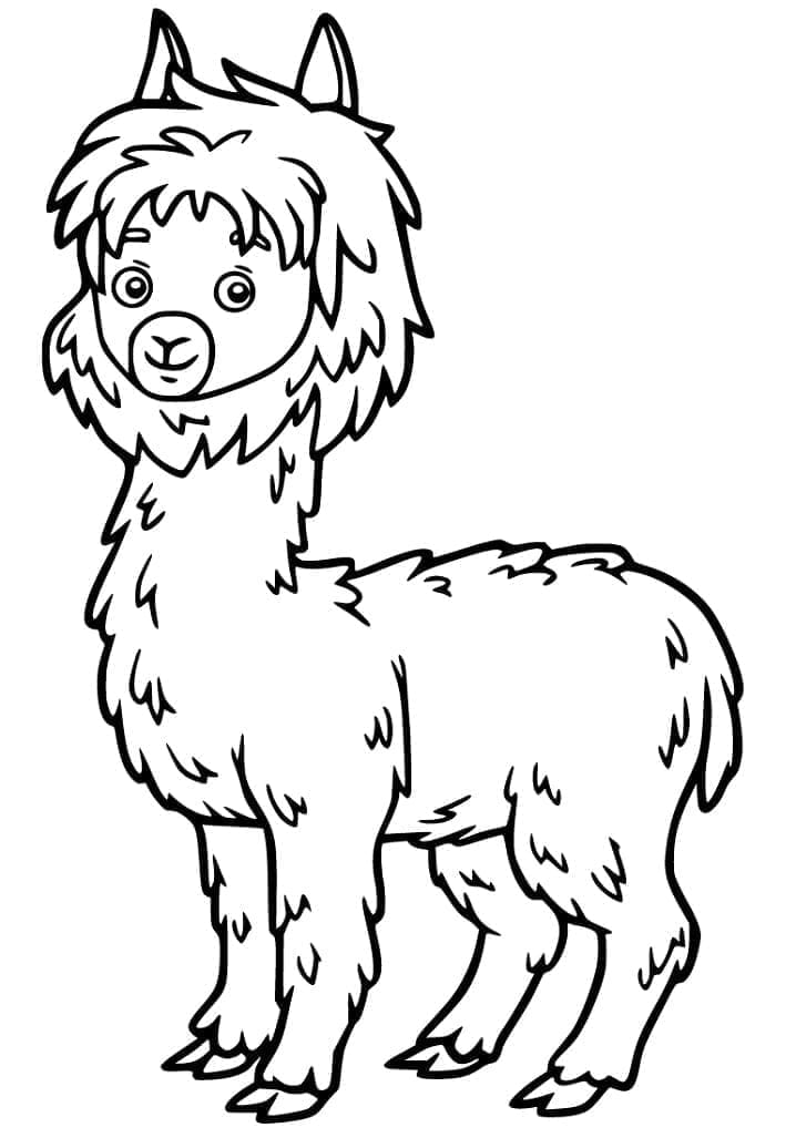 Coloriage gratuit Alpaga #217294 de la collection Animaux à imprimer