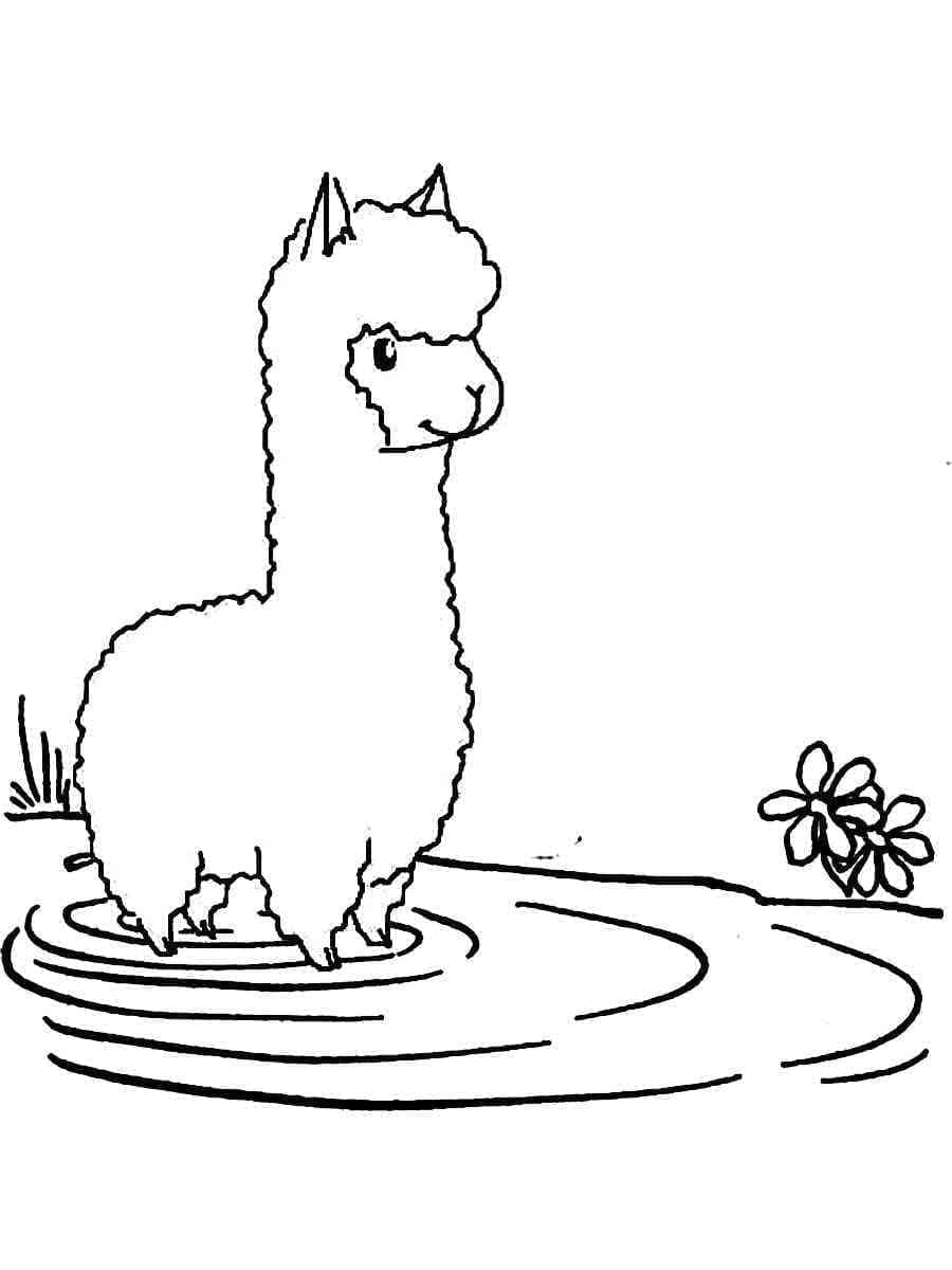 Coloriage gratuit Alpaga #217301 de la collection Animaux à imprimer