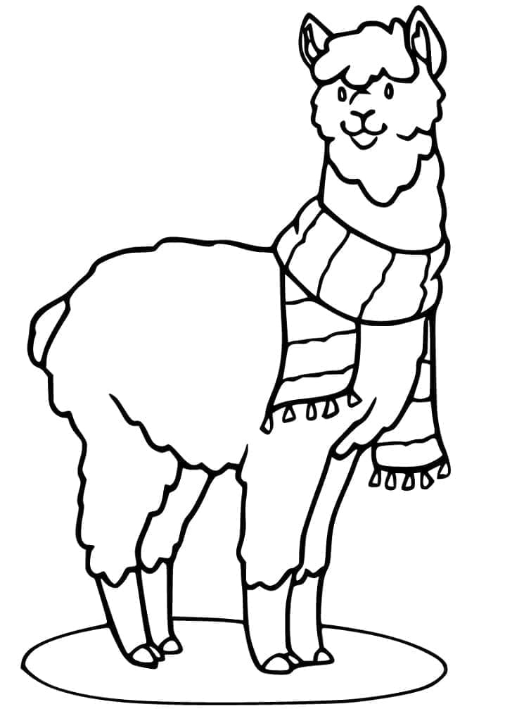 Coloriage gratuit Alpaga #217317 de la collection Animaux à imprimer Coloriage gratuit Alpaga #217317 de la collection Animaux à imprimer