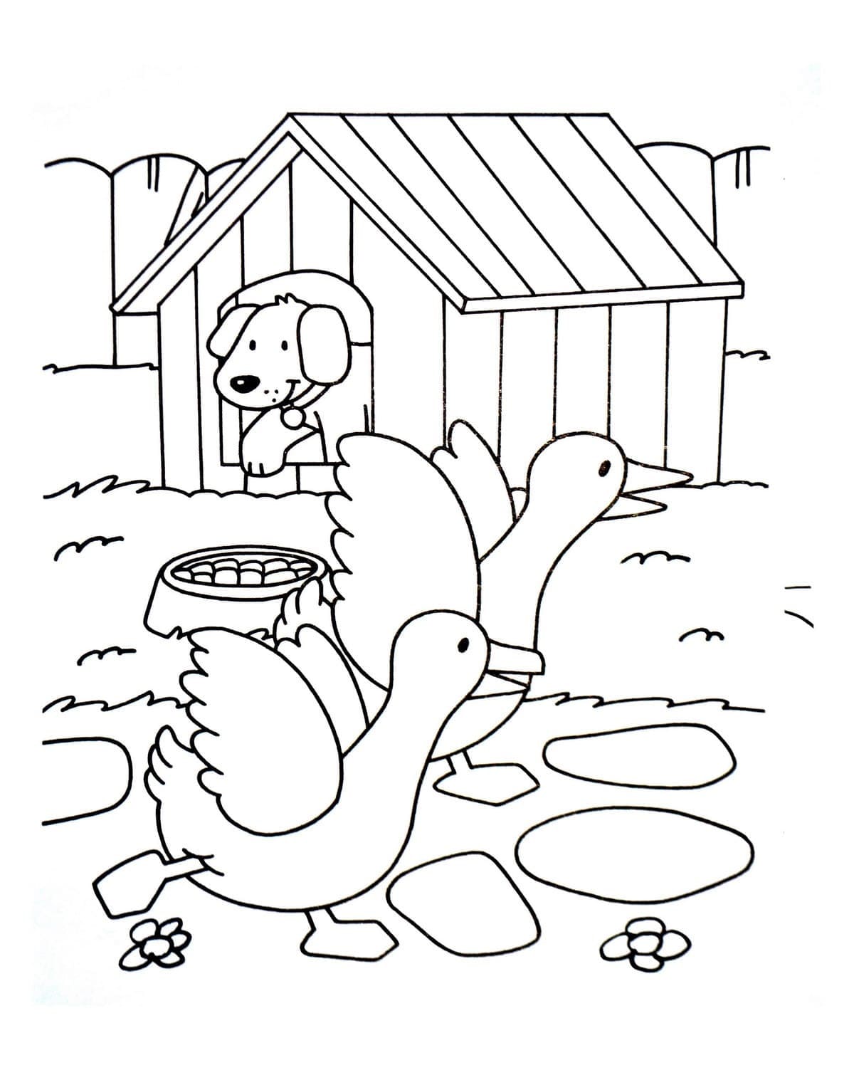 Coloriage gratuit pour enfants et adultes Animaux de ferme #198116, collection Animaux Coloriage gratuit pour enfants et adultes Animaux de ferme #198116, collection Animaux