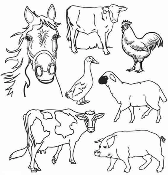 Dessin à colorier: Animaux de ferme (Animaux) #21381 - Coloriages à Imprimer Gratuits