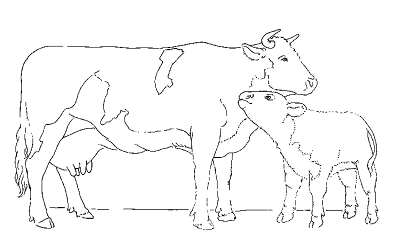 Coloriage gratuit Animaux de ferme #21405 de la collection Animaux à imprimer