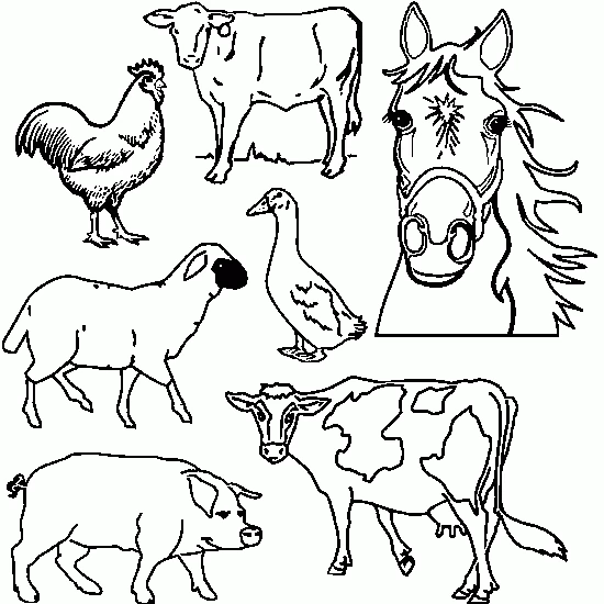 Coloriage gratuit Animaux de ferme #21427 de la collection Animaux à imprimer