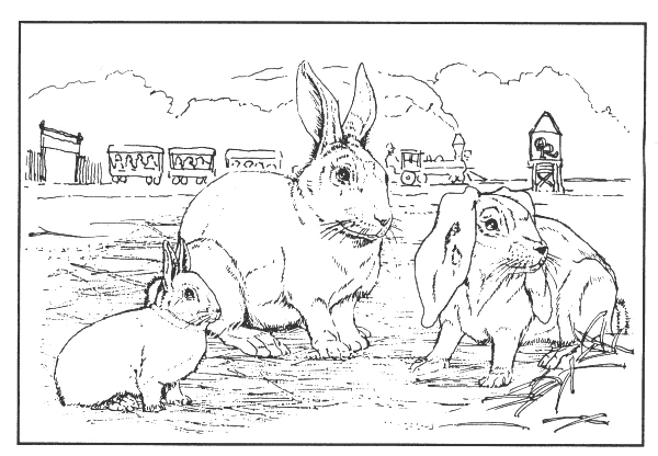 Coloriage imprimable Animaux de ferme #21433 de la collection Animaux à colorier aux crayons