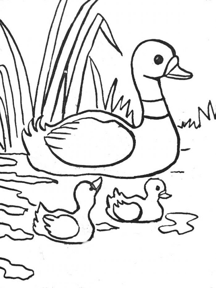 Dessin à colorier: Animaux de ferme (Animaux) #21488 - Coloriages à Imprimer Gratuits