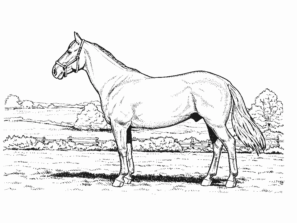 Coloriage gratuit Animaux de ferme #21524 de la collection Animaux à imprimer