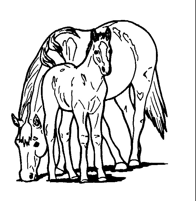 Dessin à colorier: Animaux de ferme (Animaux) #21549 - Coloriages à Imprimer Gratuits